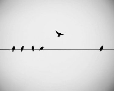 تغییر،زندگی،زیبایی